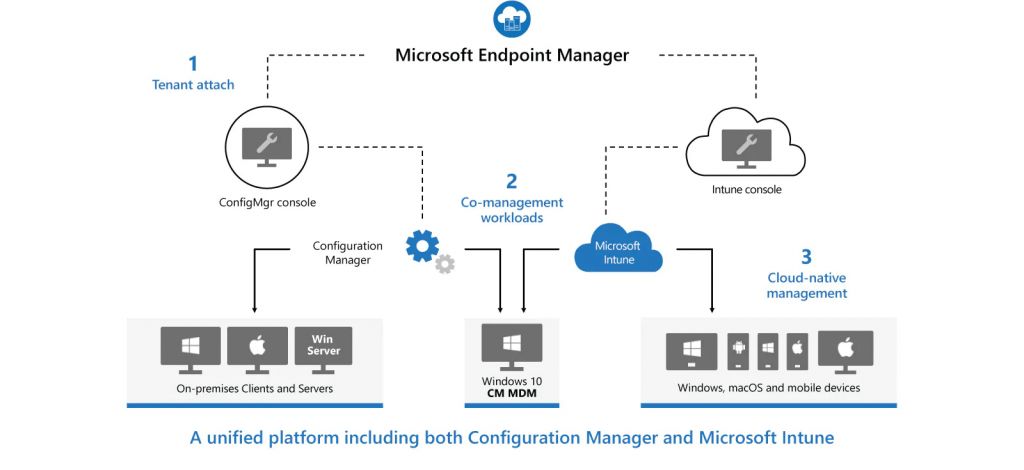 Esquema de Microsoft Intune